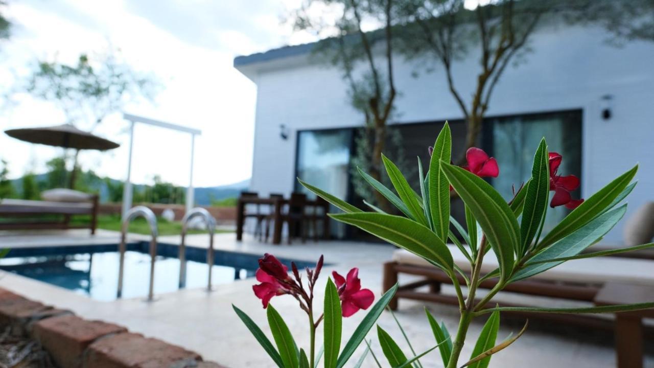 Zai Jardin Villa Fethiye Exterior foto